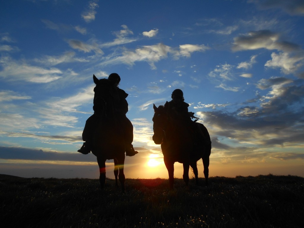 sunsethorses