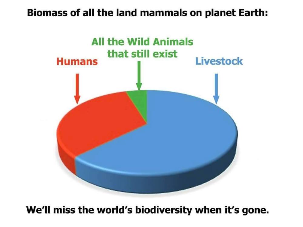  Global Source:Harvesting the Biosphere: The Human Impact by Vaclav Smil https://bit.ly/1PAhMBJ 